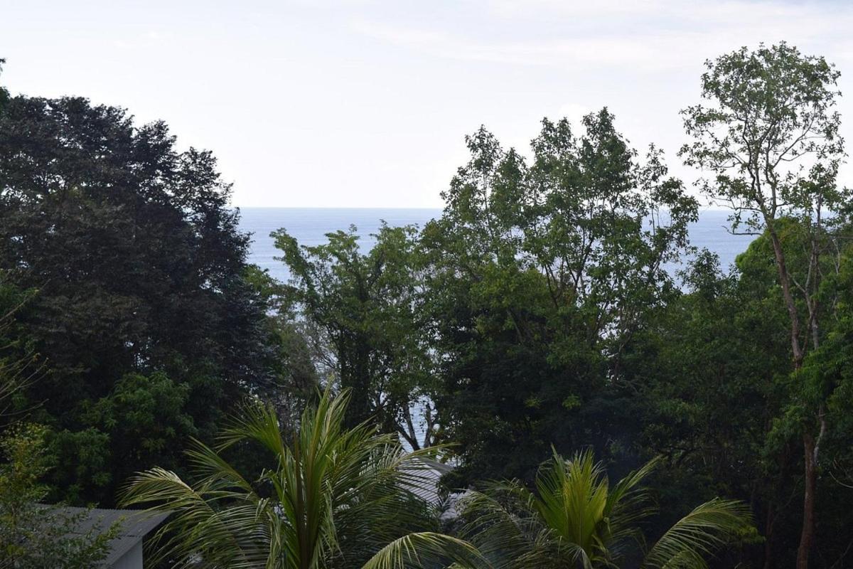 Vista Alta Ecolodge Bahia Drake Drakes Bay Buitenkant foto